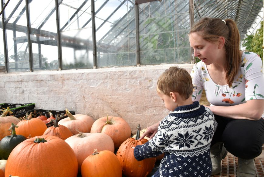 a mother and son looking at pumpkins inside a glasshouse